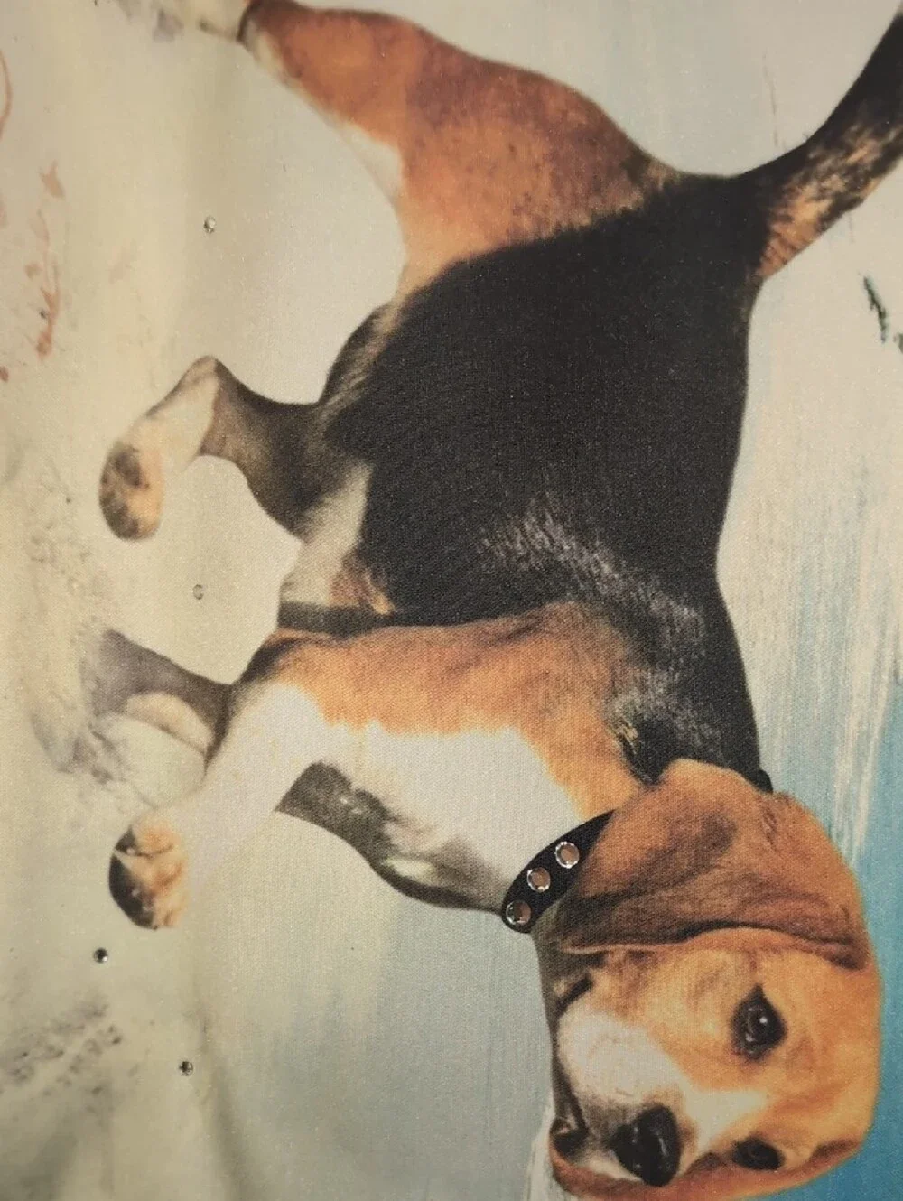 Beagle Dog Print Beach Purse in Sparkles and Black W A Makeup Bag